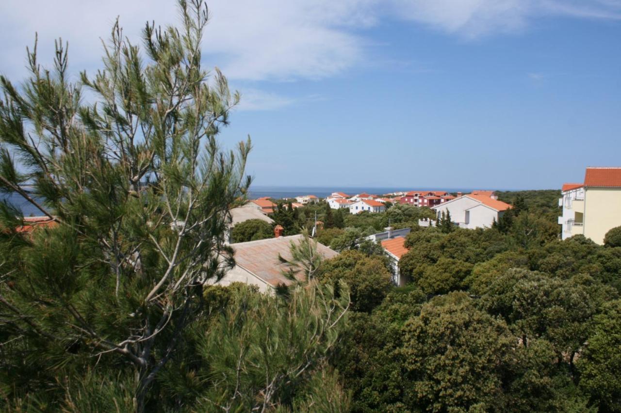 Apartments And Rooms With Parking Space Mandre, Pag - 6309 Kolan Eksteriør bilde